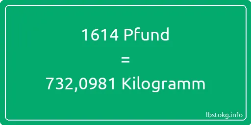 1614 lbs bis kg - 1614 Pfund bis Kilogramm