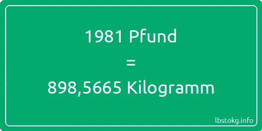 1981 lbs bis kg - 1981 Pfund bis Kilogramm