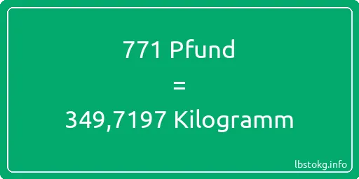 771 lbs bis kg - 771 Pfund bis Kilogramm