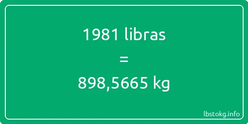 1981 libras en kg - 1981 libras en kilogramos