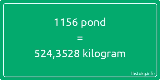 1156 pond naar kilogram - 1156 pond naar kilogram