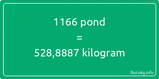 1166 pond naar kilogram - 1166 pond naar kilogram