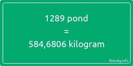 1289 pond naar kilogram - 1289 pond naar kilogram