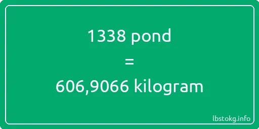 1338 pond naar kilogram - 1338 pond naar kilogram