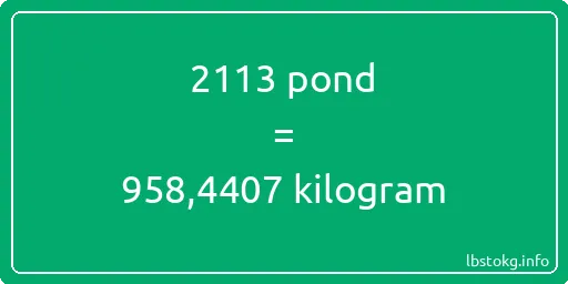 2113 pond naar kilogram - 2113 pond naar kilogram