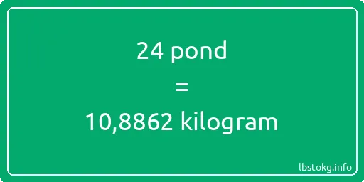 24 pond naar kilogram - 24 pond naar kilogram