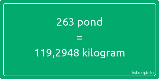 263 pond naar kilogram - 263 pond naar kilogram