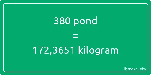 380 pond naar kilogram - 380 pond naar kilogram