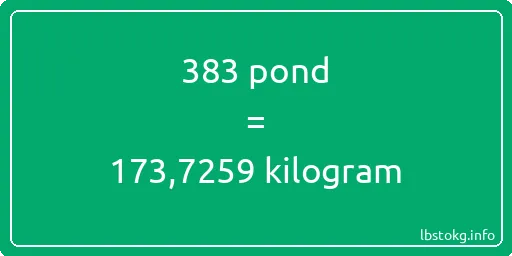 383 pond naar kilogram - 383 pond naar kilogram