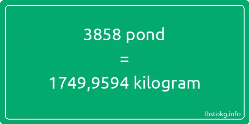 3858 pond naar kilogram - 3858 pond naar kilogram