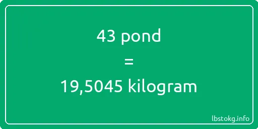 43 pond naar kilogram - 43 pond naar kilogram