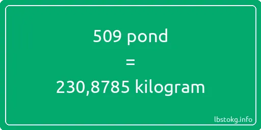 509 pond naar kilogram - 509 pond naar kilogram