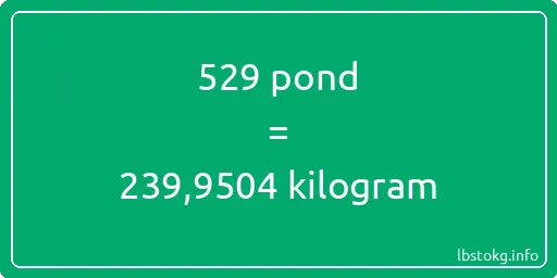 529 pond naar kilogram - 529 pond naar kilogram