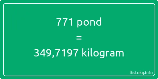 771 pond naar kilogram - 771 pond naar kilogram