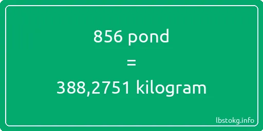 856 pond naar kilogram - 856 pond naar kilogram